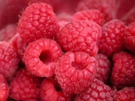 Šviežios avietės iš Lietuvos – natūralios, be chemikalų, skinamos rankomis